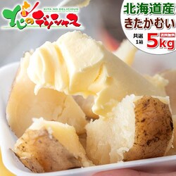 �y�o�ג��z�k�C���Y �V���Ⴊ ���Ⴊ���� �������ނ� 5kg (JA����/�퉷��) �k���ނ� �k�J���C �W���K�C�� �n�鏒 �k�C�� ��� �H��� ������