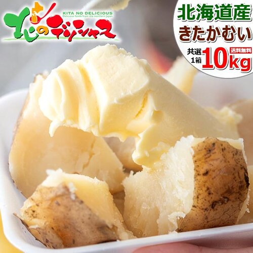 【出荷中】北海道産 新じゃが じゃがいも きたかむい 10kg (JA共撰/常温便) 北かむい 北カムイ ジャガイモ 馬鈴薯 北海道 野菜 秋野菜 お取り寄せ_0