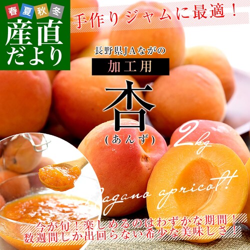 長野県産 JAながの 加工用「杏(あんず)」(品種:信州大実・平和・新潟大実など) 秀品 Lサイズ以上 約2キロ 送料無料 アプリコット 杏子 クール便【ご注文後3日から18日以内に発送します】_0