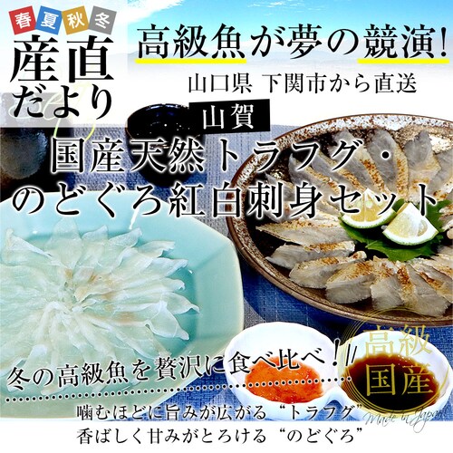 山口県下関市から直送 山賀 国産天然トラフグ・のどぐろ紅白刺身セット(トラフグ刺身、のどぐろ炙り刺身、ポン酢、もみじおろし) 送料無料 ※クール冷凍便【ご注文後3日から18日以内に発送します】_0