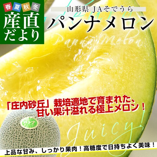 山形県産 JAそでうら パンナメロン 優品以上 大玉3Lサイズ 約5キロ(4玉入り) 送料無料 メロン めろん ギフト 夏ギフト お中元【ご注文後3日から18日以内に発送します】 _0