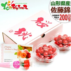 �y�\��z��̓� �������� ������ 200g (�����n�E�X/�G�i/M�T�C�Y) �M�t�g �v���[���g ��̓��M�t�g