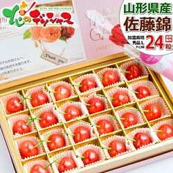 �y�\��z��̓� �������� ������ (�����n�E�X/�G�i/L�T�C�Y/24������) �M�t�g �v���[���g ��̓��M�t�g