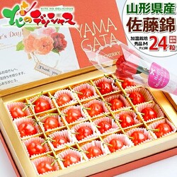 �y�\��z��̓� �������� ������ (�����n�E�X/�G�i/M�T�C�Y/24������) �M�t�g �v���[���g ��̓��M�t�g