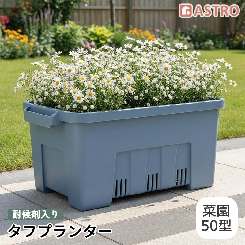�ό�ܓ��� �^�t�v�����^�[ �؉�50�^ �u���[