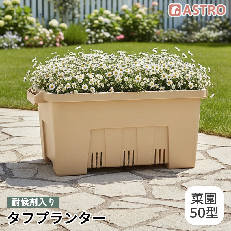 �ό�ܓ��� �^�t�v�����^�[ �؉�50�^ �x�[�W��