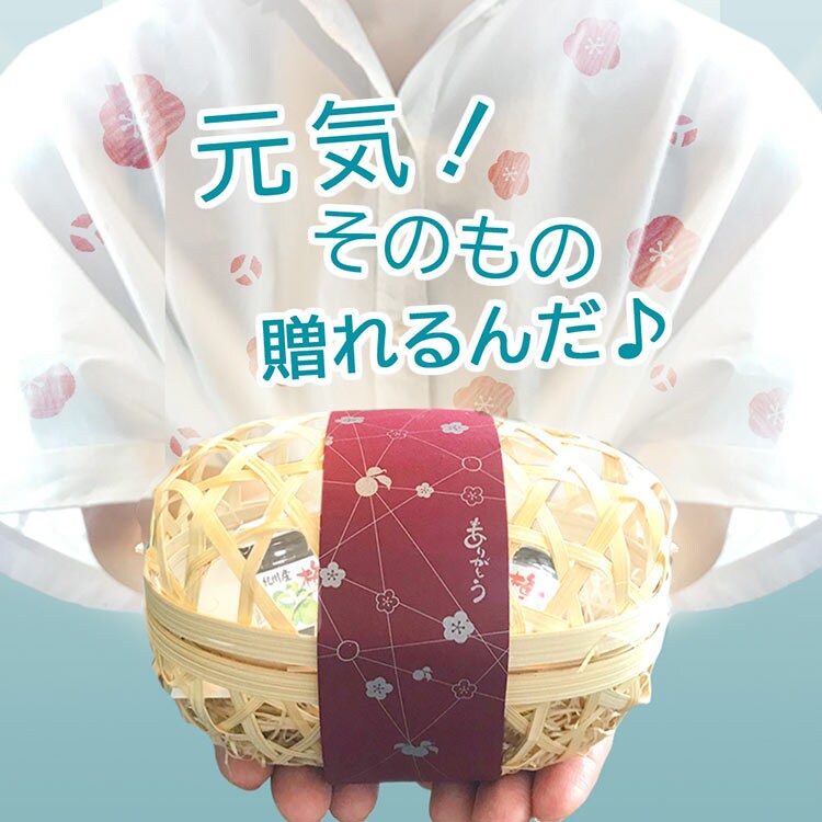コプリナ 紀州産梅肉エキス50g 2個ギフトセット0