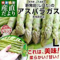�V�������Y�n���� JA�k�V�� �V���c�̋ɑ��O���[���A�X�p�� L ��1�L�� ���������y��������3������18���ȓ��ɔ������܂��z
