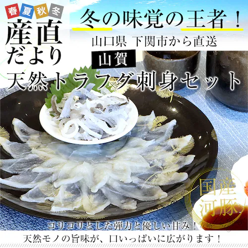 山口県下関市から直送 山賀 天然トラフグ刺身セット(刺身50g、皮刺し30g、ポン酢、もみじおろし)送料無料 河豚 ふぐ とらふぐ てっさ ※クール冷凍便【ご注文後3日から18日以内に発送します】_0
