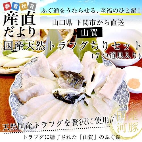 山口県下関市から産地直送 山賀 トラフグちり鍋セット(7つ道具入り) 国産天然トラフグちり(約400g) 送料無料 ふぐ【ご注文後3日から18日以内に発送します】_0