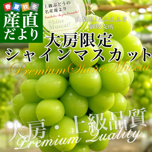 �R�����Y JA�ӂ��ӂ� ���x�� �V���C���}�X�J�b�g ��[���� �G�i ��1.8�L���i3�[����j�������� �N�[���� ���� �Ԃǂ��y��������3������18���ȓ��ɔ������܂��z