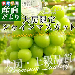 �R�����Y JA�ӂ��ӂ� ���x�� �V���C���}�X�J�b�g ��[���� �G�i ��1.8�L���i3�[����j�������� �N�[���� ���� �Ԃǂ��y��������3������18���ȓ��ɔ������܂��z