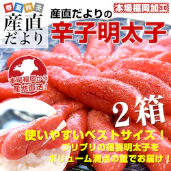 �������H �h�q�����q S�T�C�Y1�{���� 400g�~2���Z�b�g ���v800g�i28�{����36�{�j �������� �����q �߂񂽂��� ���т̂��� from��B�y��������3������18���ȓ��ɔ������܂��z