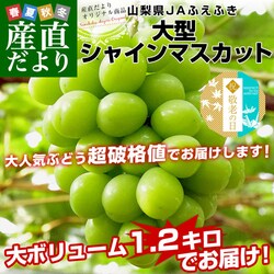 �y�h�V�̓��M�t�g�z�R�����Y JA�ӂ��ӂ� ��^�V���C���}�X�J�b�g ���v��1.2�L���i2�[�j�����������ꕔ�n������� �Ԃǂ� �u�h�E ��Ȃ��Ԃǂ� �M�t�g ���蕨 ���b�Z�[�W�J�[�h�t�� �N�[���֔���