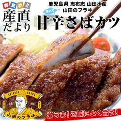 ����������蒼�� �R�c���Y�̍��Y�T�o���� �Ðh���΃J�c �i���Y�T�o�g�p�j ��1.4�L���i10������j �������� �����񂹃T�o�O���� �R�c�̃t���C �I�y��������3������18���ȓ��ɔ������܂��z