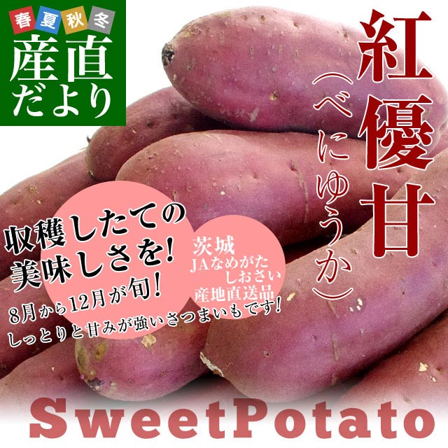 �ǉ����i�T���l�C��