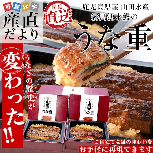 鹿児島県志布志 山田水産 霧島湧水鰻のうな重 (佐賀米夢しずく使用)2人前 送料無料 鰻 霧島湧水うなぎ ウナギ 鰻師 加藤尚武さん 山田の粋 海産物【ご注文後3日から18日以内に発送します】_0