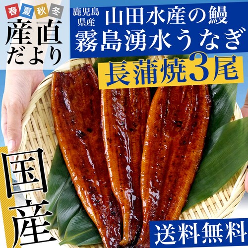 敬老の日ギフトにも最適! 鹿児島県志布志産 山田水産 霧島湧水うなぎ 長蒲焼き 大サイズ3尾セット(140g前後×3尾)送料無料 鰻師 加藤尚武さん ギフト シーフード ギフト対応化粧箱 ギフト【ご注_0
