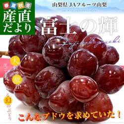 �R�����Y JA�t���[�c�R�� �x�m�̋P �u���b�N�V���C���}�X�J�b�g ��1.1�L��(2�[) �������� �햳���Ԃǂ� �ԃu�h�E �ӂ��̂����₫�y��������3������18���ȓ��ɔ������܂��z