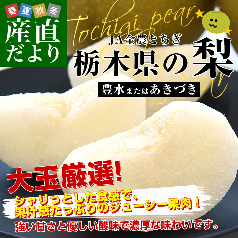 �ǉ����i�T���l�C��