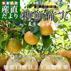 �V�����Y JA���������z ���x13�x�ȏ� �����x�� �ŏ�ʓ��� �u���N�m�� �i�Ƃ����񂩂����j�v ��2�L�� �i4�ʂ���6�ʁj �������� �Ȃ� �i�V�y��������3������18���ȓ��ɔ������܂��z