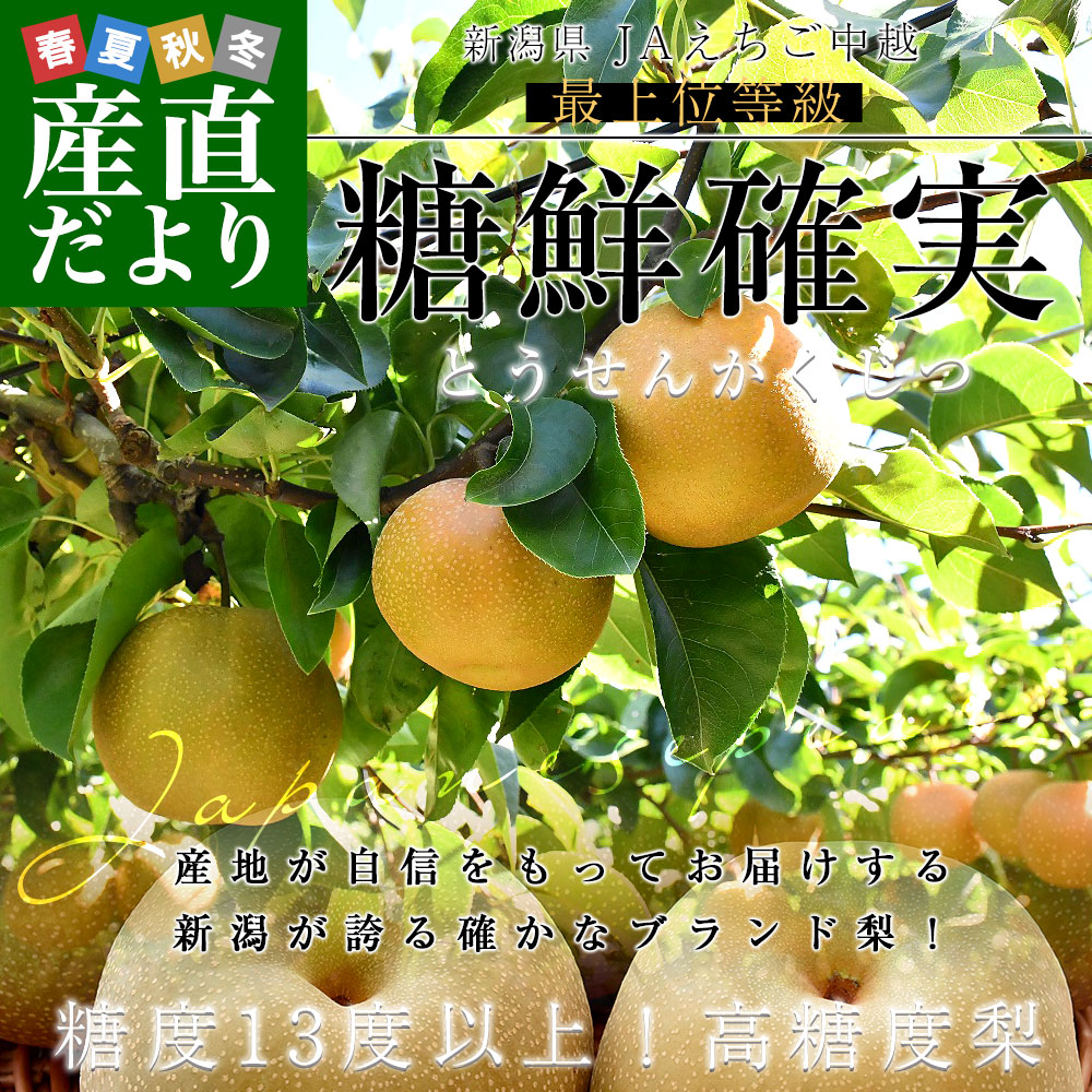 �ǉ����i�T���l�C��