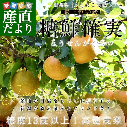 新潟県産 JAえちご中越 糖度13度以上 高糖度梨 最上位等級 「糖鮮確実 (とうせんかくじつ)」 約2キロ (4玉から6玉) 送料無料 なし ナシ【ご注文後3日から18日以内に発送します】_0