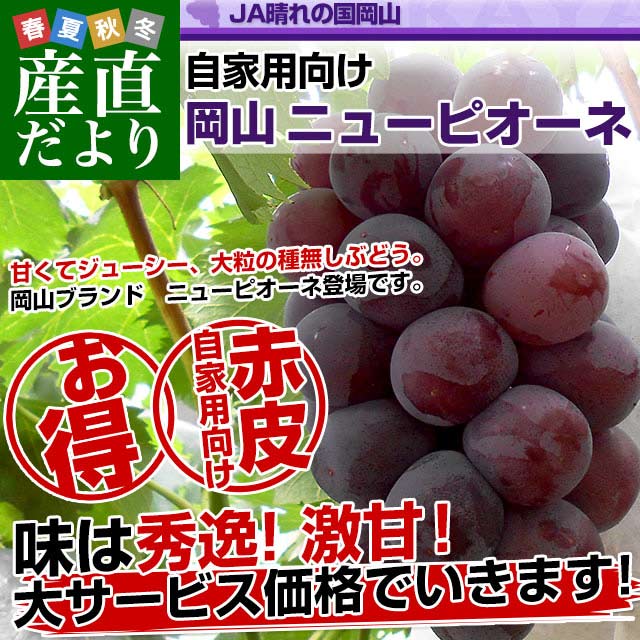 ���R���Y�@JA����̍����R ���Ɨp�j���[�s�I�[�l�@�Ǖi ��1.5�L���i3�[�j�������� �Ԃǂ� ��Ȃ����Ԃǂ�