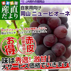 ���R���Y�@JA����̍����R ���Ɨp�j���[�s�I�[�l�@�Ǖi ��1.5�L���i3�[�j�������� �Ԃǂ� ��Ȃ����Ԃǂ�