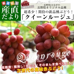���쌧 JA�Ȃ��� �N�C�[�����[�W�� ��1�L��(2�[) �������� �u�h�E �����y��������3������18���ȓ��ɔ������܂��z