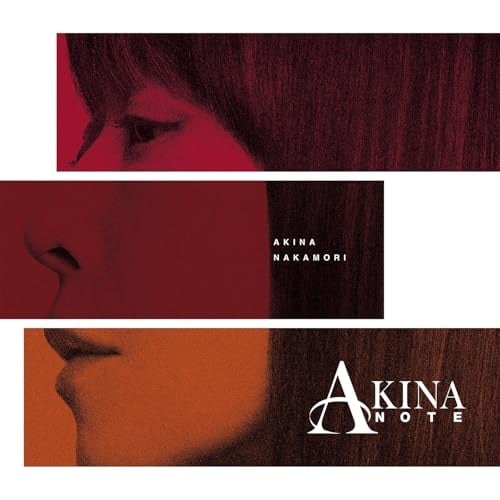 LP(30cm) / ���X���� / AKINA NOTE (���S���Y�����)