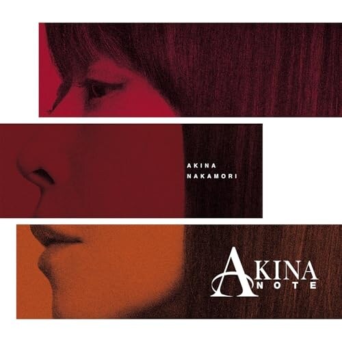 LP(30cm) / ���X���� / AKINA NOTE (���S���Y�����)_0
