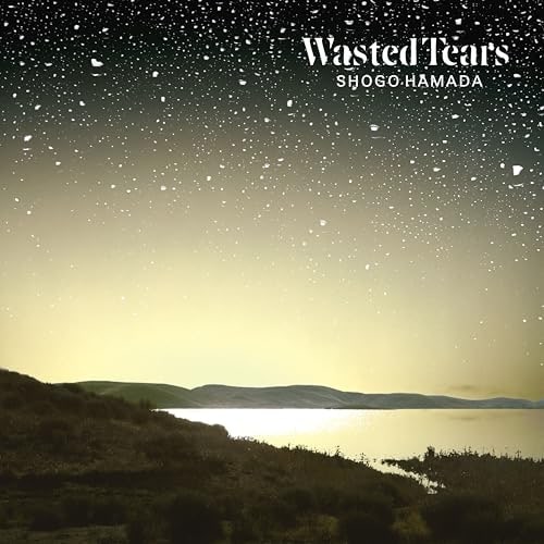 LP(30cm) / �l�c�Ȍ� / WASTED TEARS (���S���Y�����)
