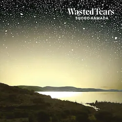 LP(30cm) / �l�c�Ȍ� / WASTED TEARS (���S���Y�����)