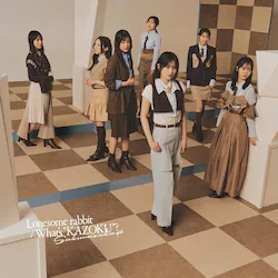CD / �N��46 / Lonesome rabbit/What