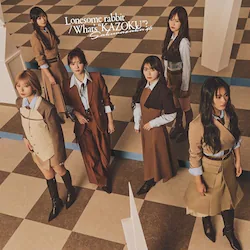CD / �N��46 / Lonesome rabbit/What