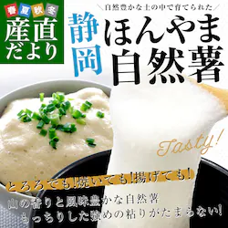�É������Y�n���� JA�É��s �{�R���R�� �ق��܂��˂񂶂� 1�{�� M�T�C�Y 1�{���� �������� �R�� ��܂��� �Ƃ��y��������3������18���ȓ��ɔ������܂��z