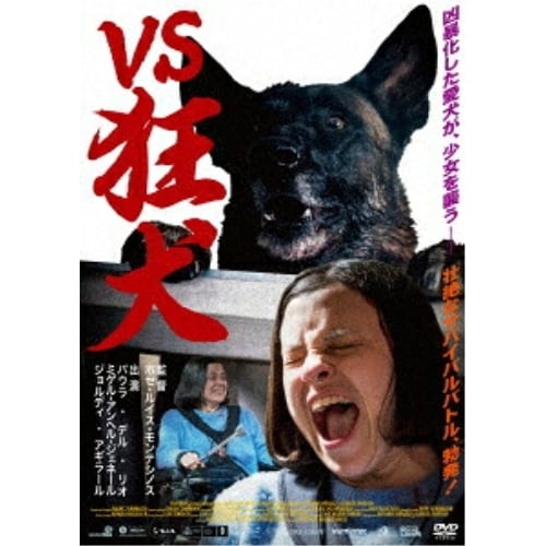 DVD / �p�E���E�f���E���I / VS����