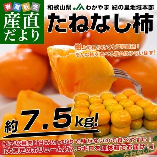 和歌山県より産地直送 JAわかやま紀の里地域本部 たねなし柿 2LからLサイズ 7.5キロ(32玉から36玉)カキ 刀根柿 平核無柿 とねがき ひらたねなしがき 送料無料【ご注文後3日から18日以内に発送します】_0