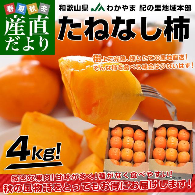 �a�̎R�����Y�n���� JA�킩��� �I�̗��n��{�� ���˂Ȃ��` ���v4�L�� 2�L���~2�� (10�ʂ���12�ʓ���~2��) �J�L ���� �` ���������y��������3������18���ȓ��ɔ������܂��z