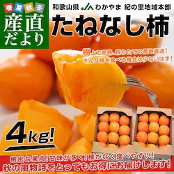 �a�̎R�����Y�n���� JA�킩��� �I�̗��n��{�� ���˂Ȃ��` ���v4�L�� 2�L���~2�� (10�ʂ���12�ʓ���~2��) �J�L ���� �` ���������y��������3������18���ȓ��ɔ������܂��z