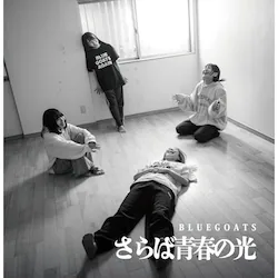 CD / BLUEGOATS / ����ΐt�̌�