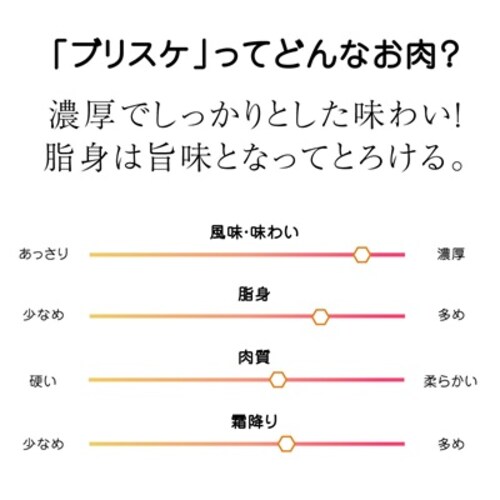 јa A5N XCX 300gysz_4