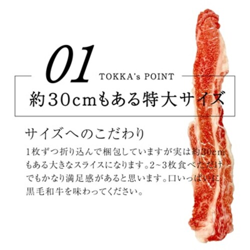 јa A5N XCX 300g_5