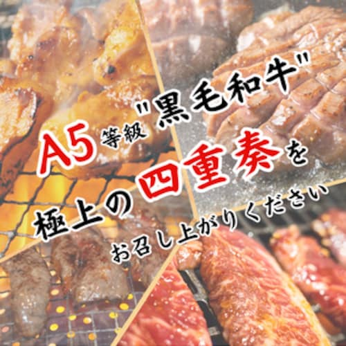 yA5z Yјa Hה ē 4Zbg 1kg  (JrEn~E^Ez e250g) A5 ē BBQ o[xL[ Y јa  ysz_2