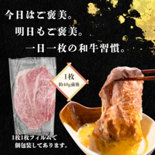 yYјaz唻 [XXCX 300g 7-8 ioⓀj@јa ē ₫ Ԃ _1