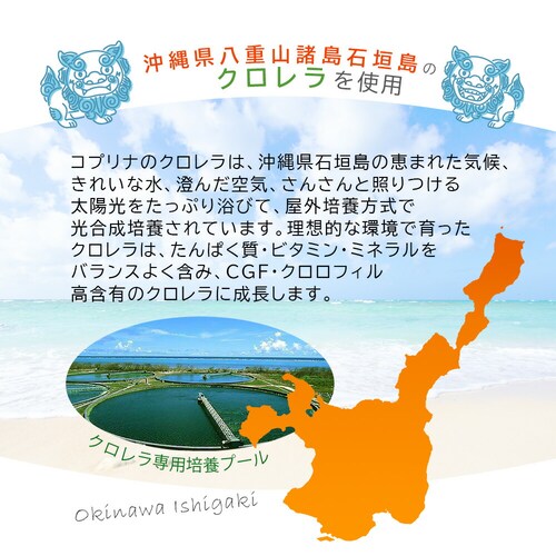 Rvi N ꌧΊ_Y 300 30_3