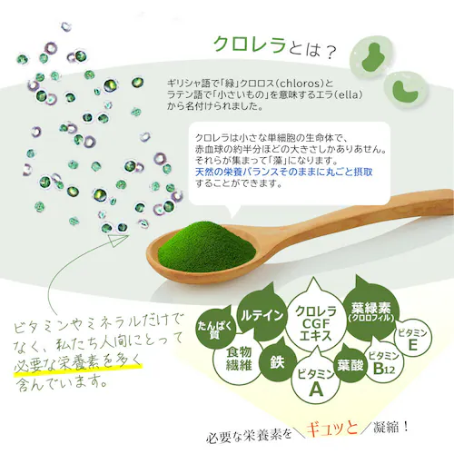 Rvi N ꌧΊ_Y 300 30_4