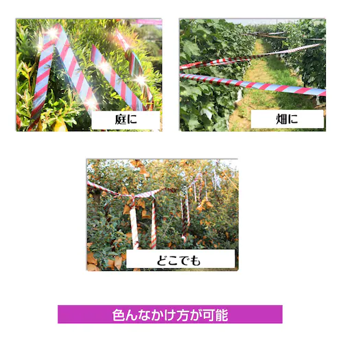 悯 e[v 50m 4 F ԐF Vo[ Px z   {  XY JX Ƃ悯 ObY ACe h΍ x_   c _ysz_6