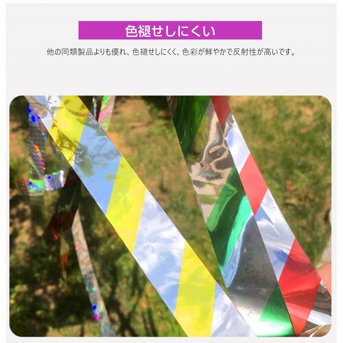 悯 e[v 50m 1 F ԐF Vo[ Px z   {  XY JX Ƃ悯 ObY ACe h΍ x_   c __4